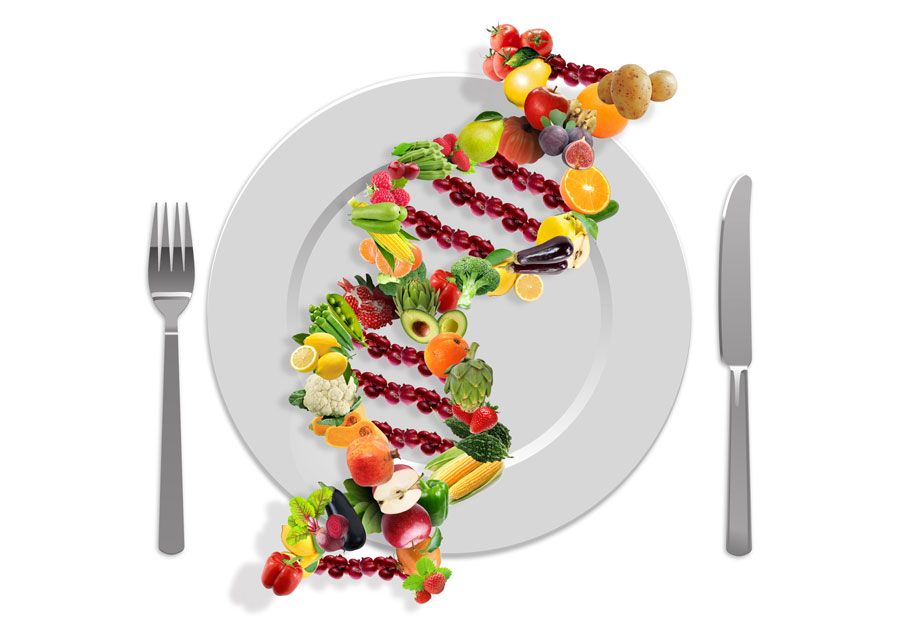 Test DNA dieta