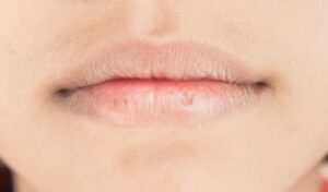 Fot. Shutterstock